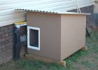 Dog House2